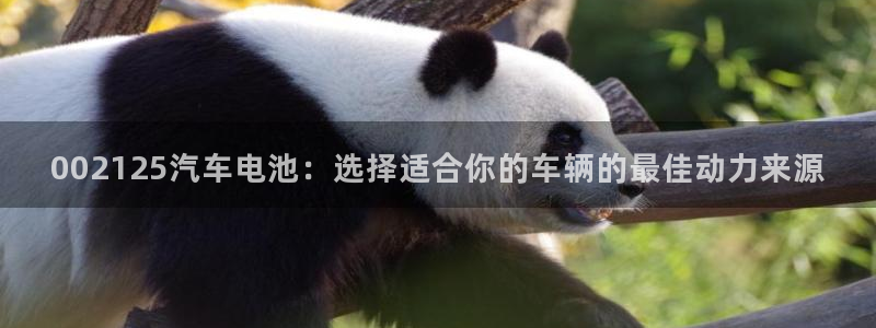 优发国际手机app下载地址：002125汽车电池：选择适合你的车辆的最佳动力来源