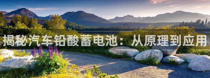 优发国际手机app下载地址：揭秘汽车铅酸