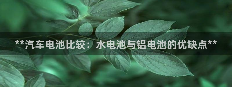 优发国际网官网址是多少：**汽车电池比较：水电池与铝电池的优缺点**