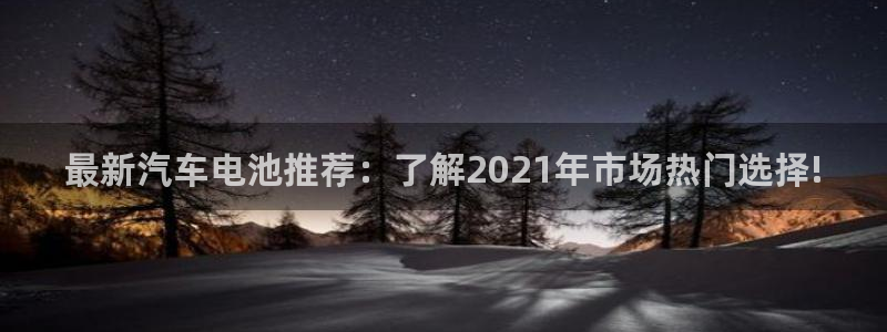 优发国际官网首页：最新汽车电池推荐：了解2021年市场热门选择!