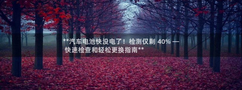优发国际app官网下载安装手机版：**汽