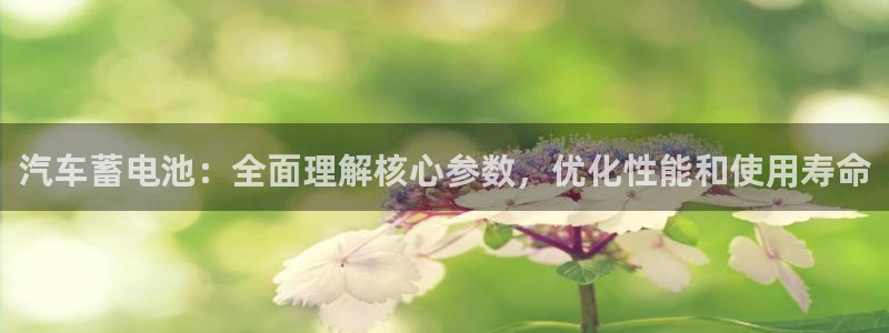 优发国际平台app下载官网：汽车蓄电池：全面理解核心参数，优化性能和使用寿命